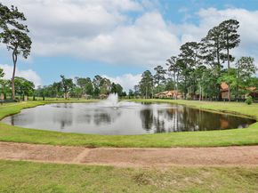 3023 Serena Vista Way, Houston TX 77068
