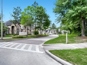 11 Spotted Lily Way, The Woodlands TX 77354