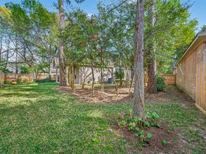 22 W Windsor Hills Circle, Conroe TX 77384