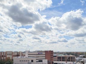 2520 Robinhood 800, Houston TX 77005