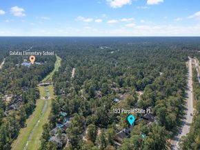 193 Purple Slate Place, Spring TX 77381