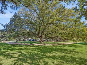 1620 Elgin Street 9, Houston TX 77004