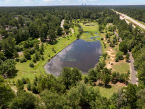 142 Golden Autumn Place, The Woodlands TX 77384