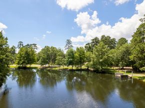 142 Golden Autumn Place, The Woodlands TX 77384