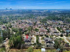 6 Bridgewood Cove Court, The Woodlands TX 77381