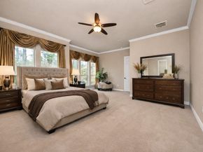 6 Bridgewood Cove Court, The Woodlands TX 77381