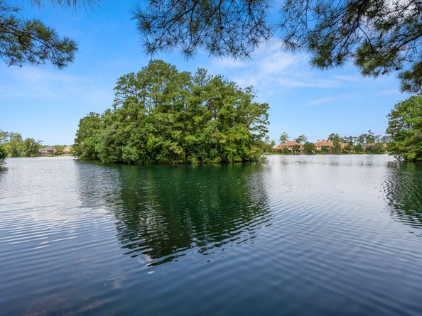 1227 Brinson Court, Spring TX 77379