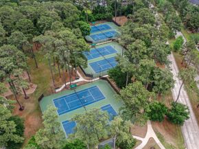 1227 Brinson Court, Spring TX 77379
