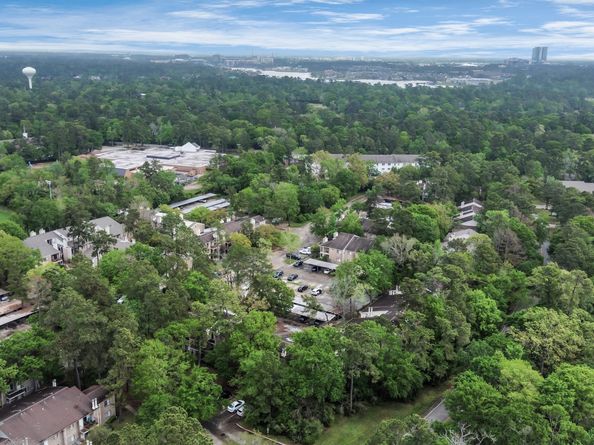 3500 Tangle Brush Drive 65, The Woodlands TX 77381