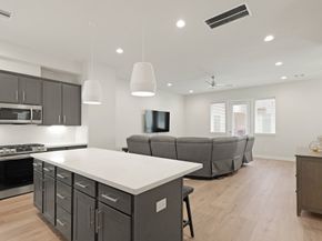 709 Sienna Palm Lane, Houston TX 77008