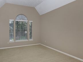 15 Amber Sky Place, The Woodlands TX 77381