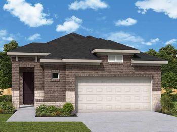 11210 Apricot Sulphur Drive