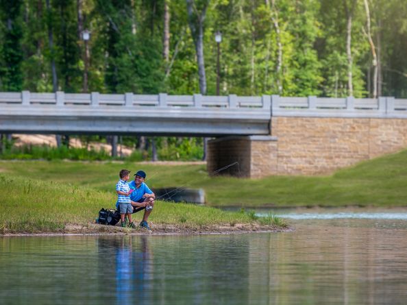 9628 Mount Brewer Lane, Porter TX 77365