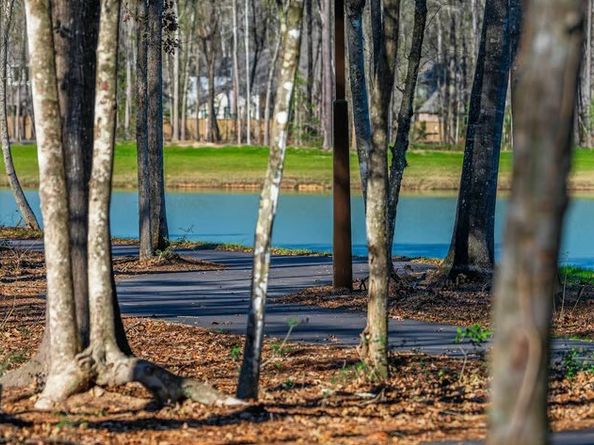 9628 Mount Brewer Lane, Porter TX 77365