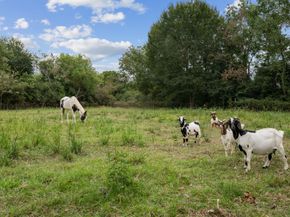 1535 Mulberry Street, Tomball TX 77375