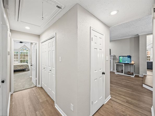 15419 Redbud Leaf Lane, Cypress TX 77433