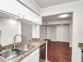 4641 Wild Indigo Street 450, Houston TX 77027