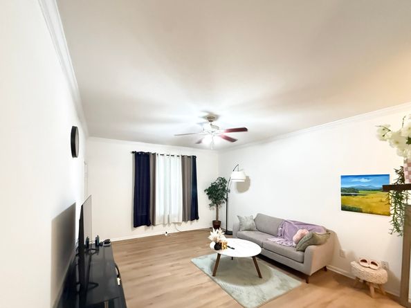 2255 Braeswood Park Drive 117, Houston TX 77030