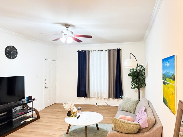 2255 Braeswood Park Drive 117, Houston TX 77030