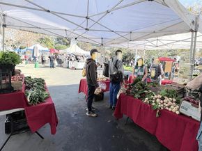 5242 Miles Avenue Apt C, Oakland CA 94618