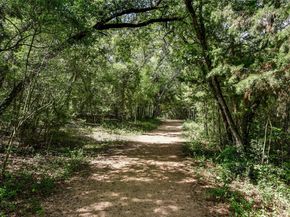 3509 Fawn TRL, Austin TX 78746