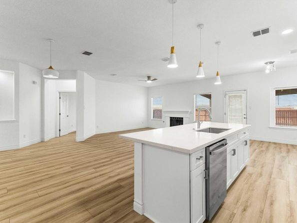 1508 Lochaline LOOP, Pflugerville TX 78660