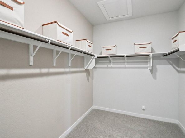 1232 Lavender WAY, Georgetown TX 78628