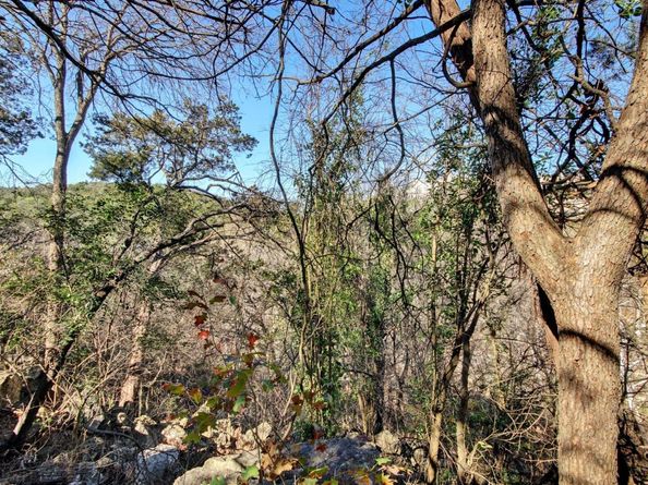 2306 Forest Bend DR, Austin TX 78704