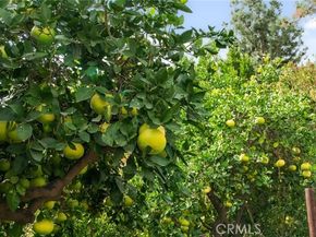 416 Alamosa Drive, Claremont CA 91711