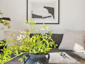 425 28th 103B, Oakland CA 94612