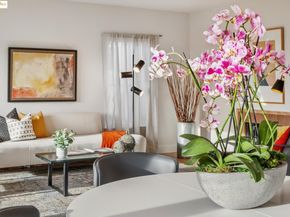 608 Colusa Ave, Berkeley CA 94707