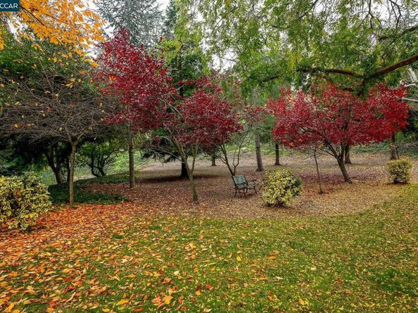 1131 Oakmont Drive 6, Walnut Creek CA 94595