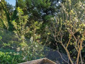 1179 Keith AVE, Berkeley CA 94708