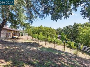 189 Oak Rd, Alamo CA 94507