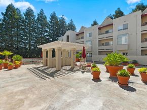 3173 Wayside Plz 207, Walnut Creek CA 94597