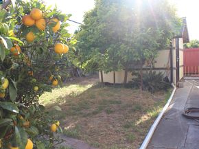 2956 Mckenzie Dr, Richmond CA 94806