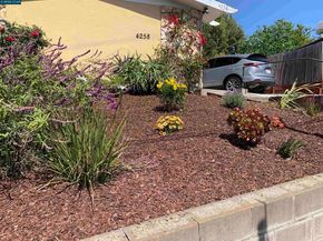 4258 Masterson St, Oakland CA 94619