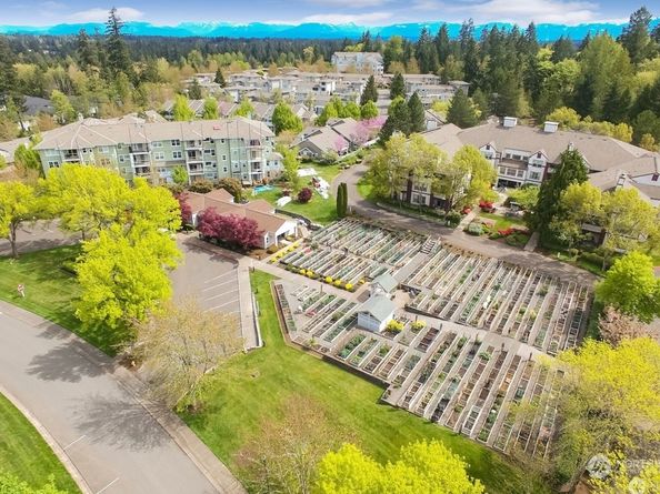 4133 224th Lane SE 302, Issaquah WA 98029