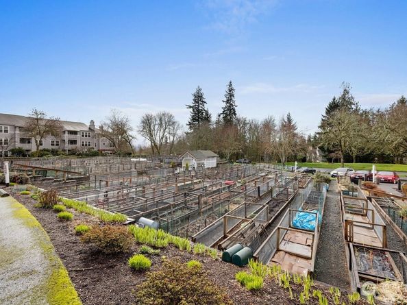 4133 224th Lane SE 302, Issaquah WA 98029