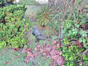 34714 52nd Avenue S, Auburn WA 98001