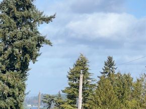 9739 57th Avenue S, Seattle WA 98118