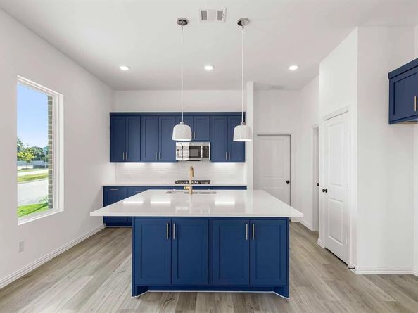 1102  Bexar Lane , Plano Texas 75075