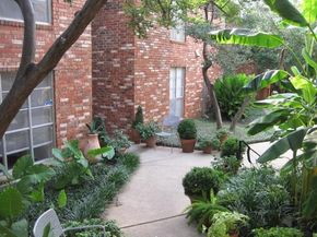 4317  Hartford Street  109, Dallas Texas 75219