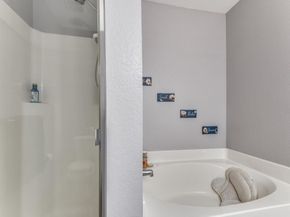 8406  Beachplum Way , Arlington Texas 76002