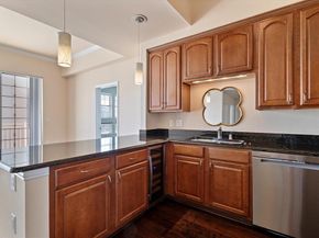 3225  Turtle Creek Boulevard  1009, Dallas Texas 75219