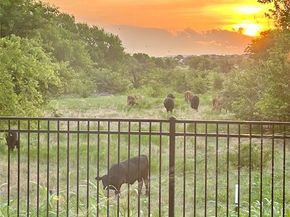 3100  Greenbriar Drive , Celina Texas 75009