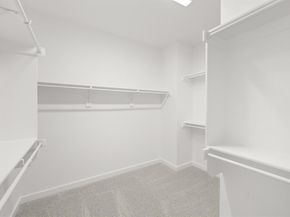 4602  White Buffalo Trail , Oak Point Texas 75068