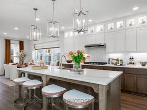 7408  Dragonfly Trail , McKinney Texas 75071