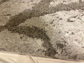 1067 Ingalls Street 6F, Lakewood CO 80214