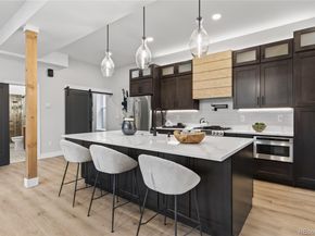 926 Lipan Street, Denver CO 80204